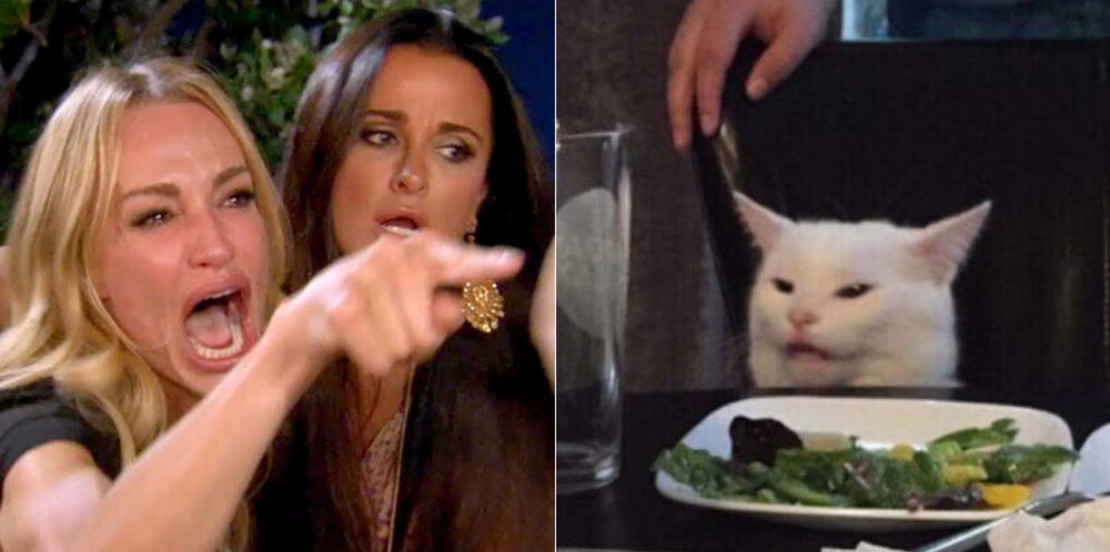 Мем със сърдита жена и котка